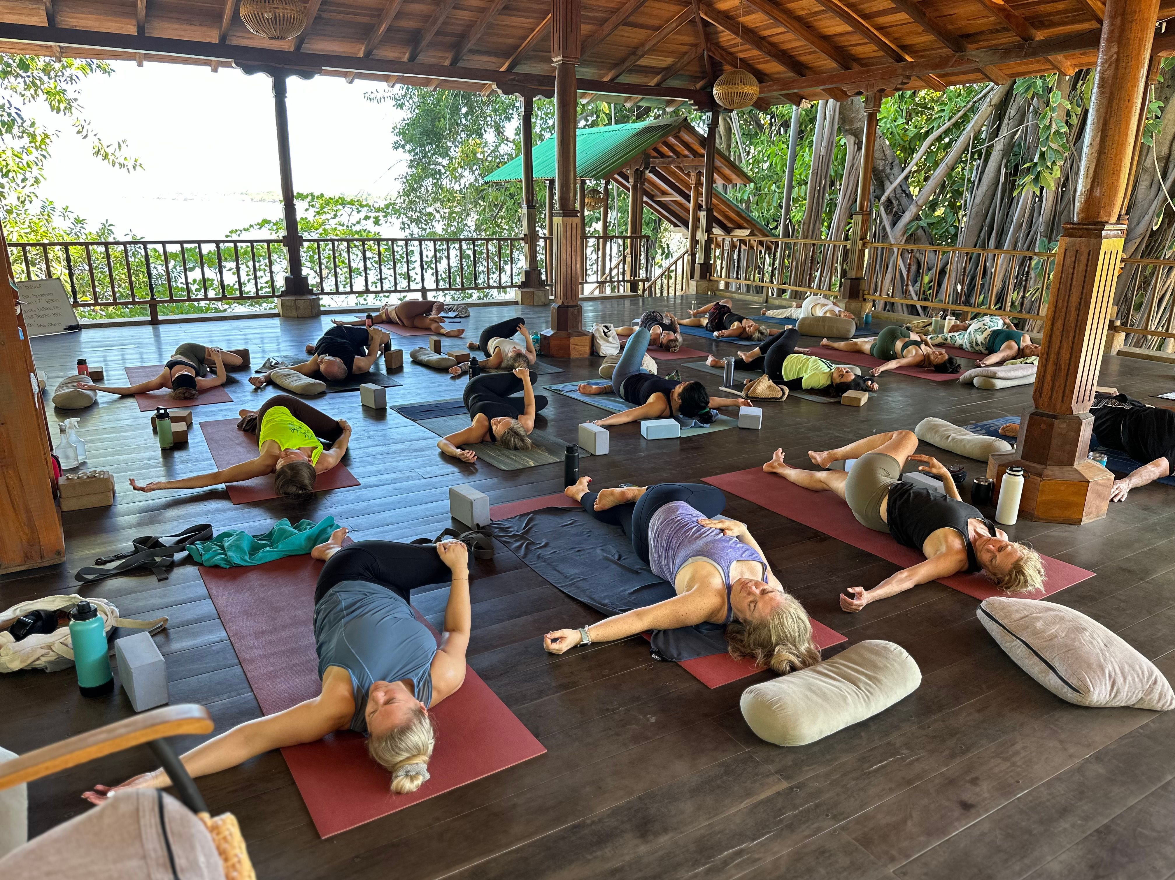 yoga teacher training